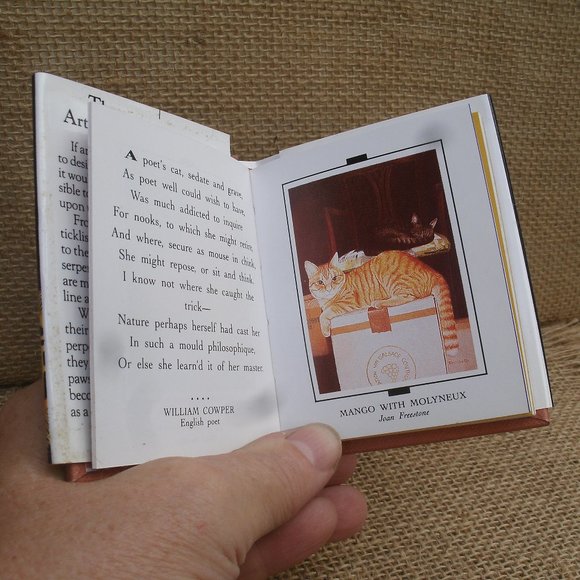 Running Press Cats Soapbox Editions Mini Gift Set - Picture 9 of 16